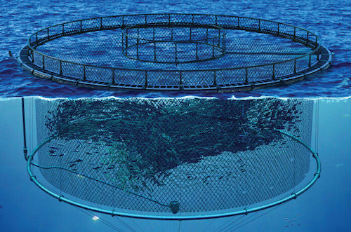 Aquaculture Nets: Enhancing Yield and Sustainability in Fish Farming